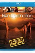 Watch Bikini Destinations: Fantasy Niter