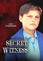 Watch Secret Witness Niter