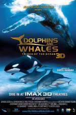 Watch Dolphins and Whales 3D Tribes of the Ocean Niter