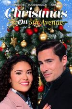 Watch Christmas on 5th Avenue Niter