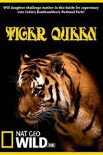 Watch Tiger Queen Niter