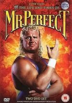 Watch The Life and Times of Mr. Perfect Niter