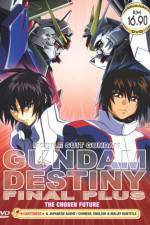 Watch Mobile Suit Gundam Seed Destiny Final Plus: The Chosen Future (OAV) Niter