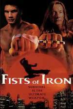 Watch Fists of Iron Niter