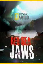 Watch National Geographic Red Sea Jaws Niter