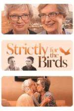 Watch Strictly for the Birds Niter