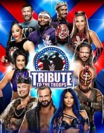 Watch WWE Tribute to the Troops Niter