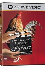 Watch The Natural History of the Chicken Niter
