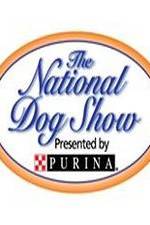 Watch National Dog Show Niter