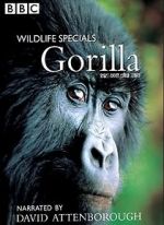 Watch Gorilla Revisited with David Attenborough Niter