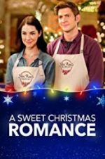Watch A Sweet Christmas Romance Niter