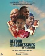 Watch Beyond the Aggressives: 25 Years Later Niter
