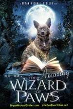 Watch The Amazing Wizard of Paws Niter