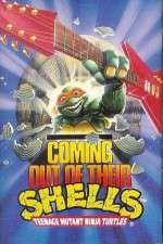 Watch Teenage Mutant Ninja Turtles: Coming Out of Their Shells Tour Niter