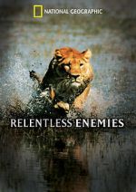 Watch Relentless Enemies Niter