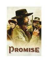 Watch Promise Niter