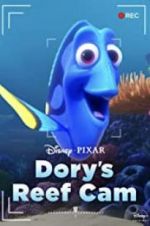 Watch Dory\'s Reef Cam Niter