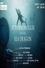 Watch Attenborough and the Sea Dragon Niter