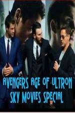 Watch Avengers Age of Ultron Sky Movies Special Niter