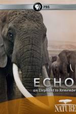 Watch Echo: An Elephant to Remember Niter