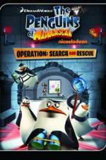 Watch Penguins Of Madagascar: Operation Search and Rescue Niter