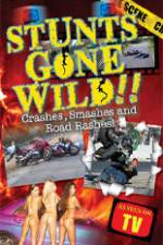 Watch Stunts Gone Wild: Crashes, Smashes & Road Rashes! Niter