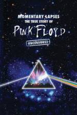 Watch Pink Floyd: Momentary Lapses - The True Story Of Pink Floyd Niter