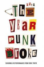 Watch 1991 The Year Punk Broke Niter