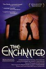Watch The Enchanted Niter