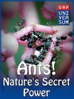 Watch Ants: Nature\'s Secret Power Niter
