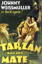 Watch Tarzan and His Mate Niter