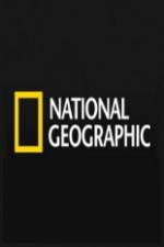 Watch National Geographic Wild Blood Ivory Smugglers Niter