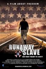 Watch Runaway Slave Niter