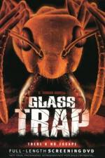 Watch Glass Trap Niter
