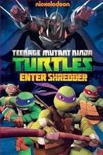 Watch Teenage Mutant Ninja Turtles: Enter Shredder Niter