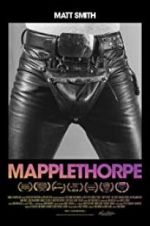 Watch Mapplethorpe Niter