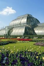 Watch Cruickshank on Kew: The Garden That Changed the World Niter