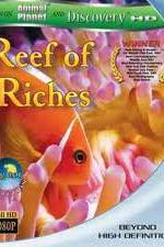 Watch Equator Reefs of Riches Niter