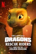 Watch Dragons: Rescue Riders: Hunt for the Golden Dragon Niter