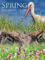 Watch Spring: The Return of Life Niter