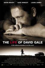 Watch The Life of David Gale Niter