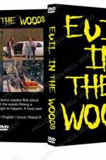 Watch Evil in the Woods Niter