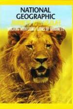 Watch National Geographic: Walking with Lions Niter