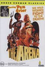 Watch The Arena Niter