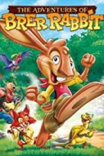 Watch The Adventures of Brer Rabbit Niter