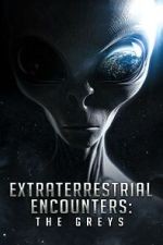 Watch Extraterrestrial Encounters: The Greys Niter