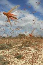 Watch Swarm Chasers: Locusts Niter