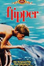Watch Flipper Niter