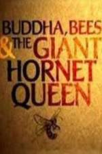 Watch Natural World Buddha Bees and the Giant Hornet Queen Niter