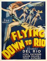 Watch Flying Down to Rio Niter